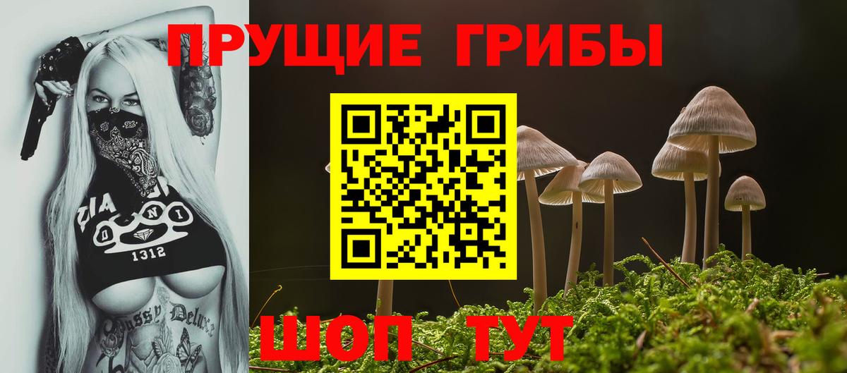 Азов  продажа наркотиков  Вход с VPN  Псилоцибиновые грибы ЛСД 