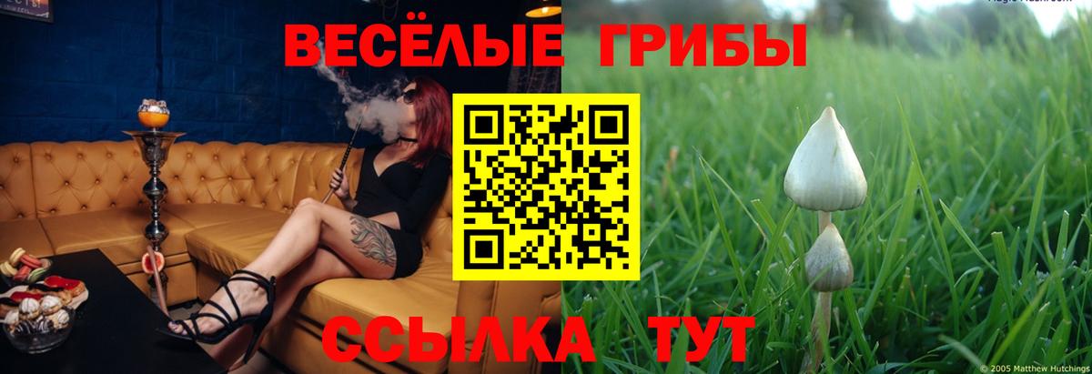 Псилоцибиновые грибы Magic Shrooms Азов