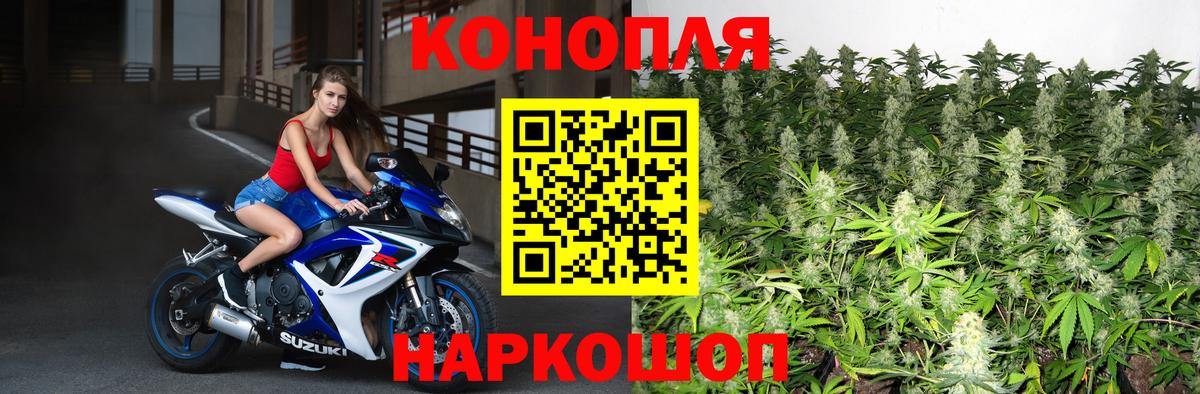 Шишки марихуана White Widow  Вход с VPN  Азов  Бошки Шишки тримм  Бошки Шишки тримм  Канабис ГИДРОПОН 